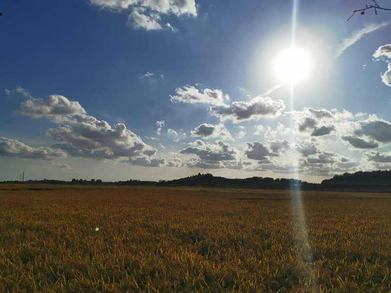 風光類 謝曉燕—田野掠影 (2)_副本.jpg 風光類 謝曉燕—田野掠影 (2)_副本.jpg